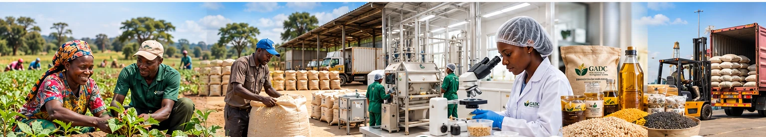 GADC agricultural value chain showing farmer support, production, aggregation and procurement, processing and value addition, quality control and certification, and market access
